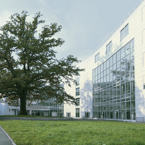 Zug office